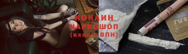СК Алексин