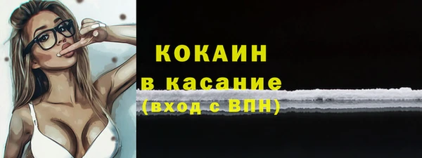 СК Алексин