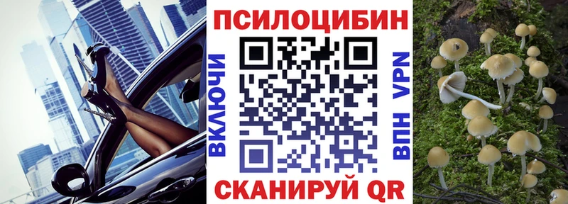 блэк спрут ONION  что такое   Нижняя Салда  Галлюциногенные грибы Psilocybine cubensis 